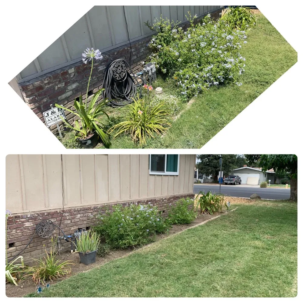 Professional lawn care service with custom design in Exeter, CA by Alpha Lawn And Landscape