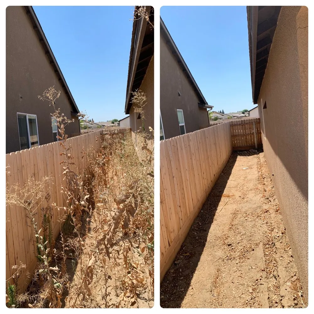 Top-rated lawn care service for residential properties in Exeter, CA by Alpha Lawn And Landscape