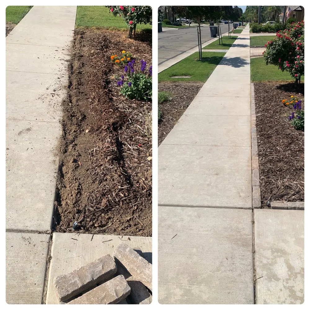 Professional lawn care service in Exeter, CA - Alpha Lawn And Landscape