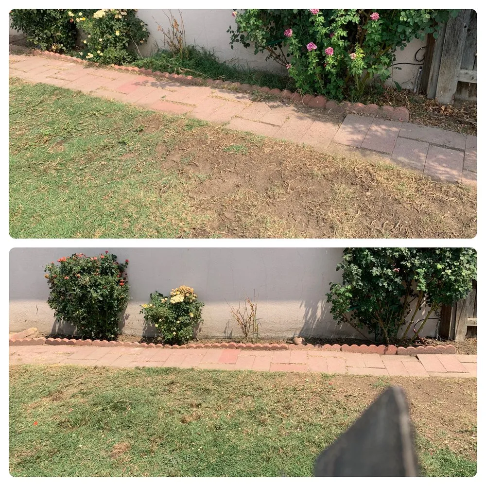 Affordable landscape installation experts serving Exeter, CA - Alpha Lawn And Landscape