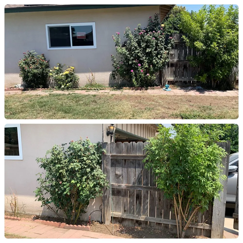 Affordable landscaping services experts serving Exeter, CA - Alpha Lawn And Landscape