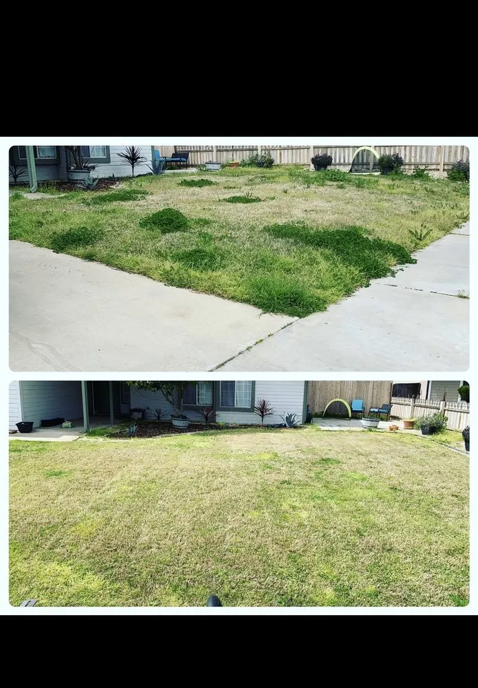 Custom lawn care service for year-round maintenance across Exeter, CA - Alpha Lawn And Landscape