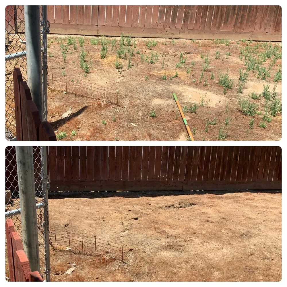 Local lawn care service in Exeter, CA by Alpha Lawn And Landscape