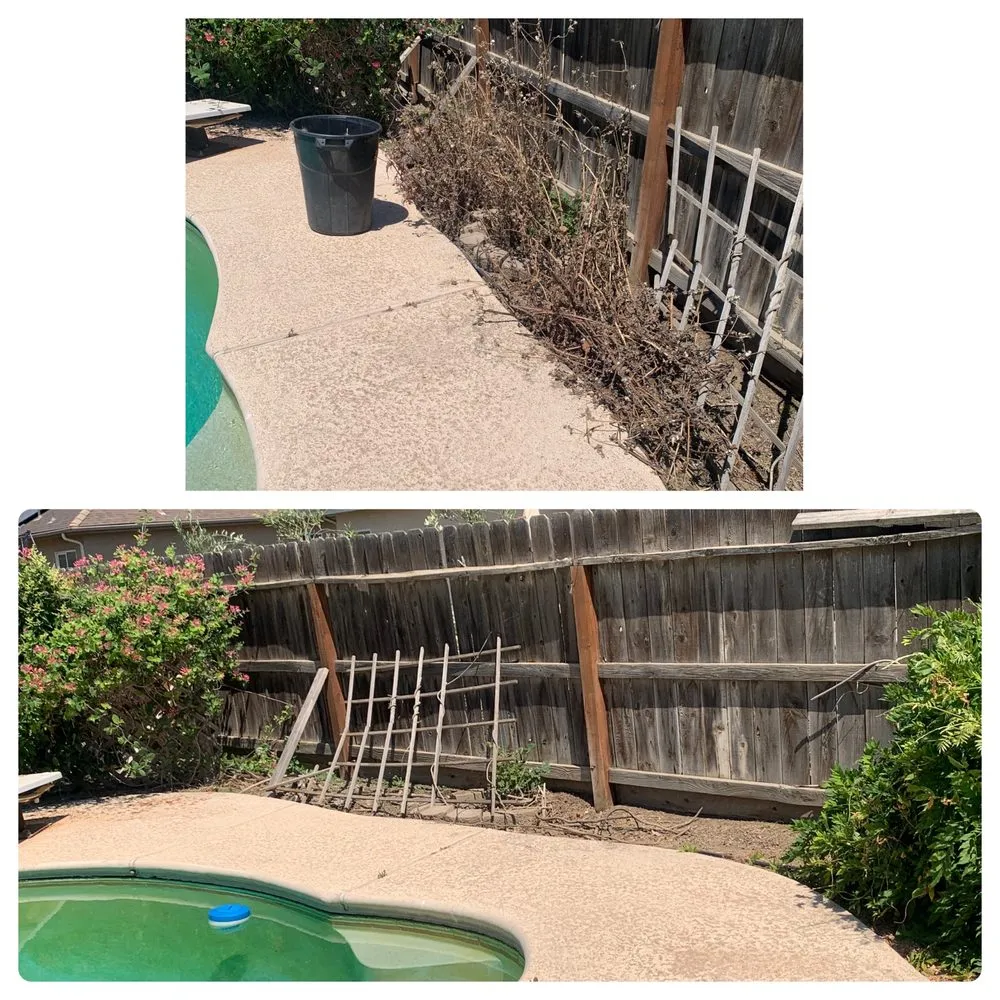 Affordable residential landscaping in Exeter, CA - Alpha Lawn And Landscape