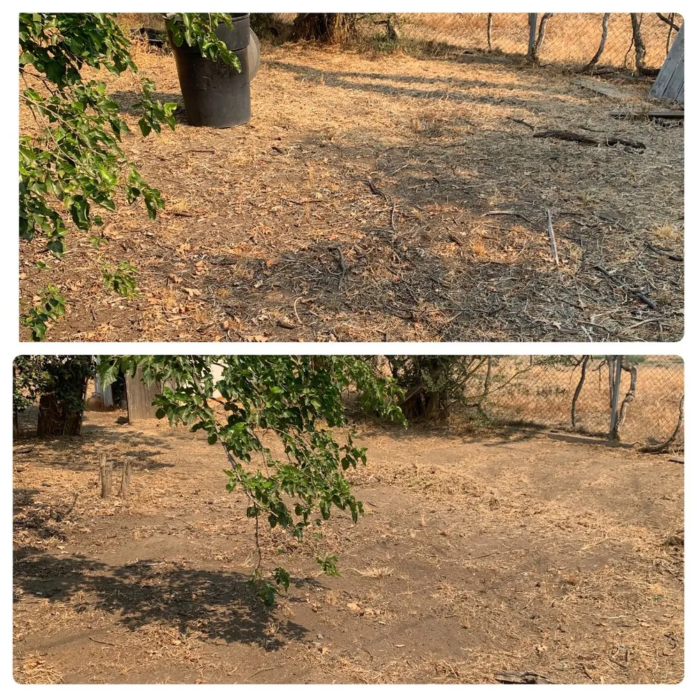 Trusted landscaping services in Exeter, CA - Alpha Lawn And Landscape