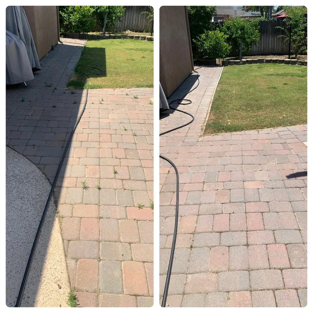 Custom lawn care service in Exeter, CA by Alpha Lawn And Landscape