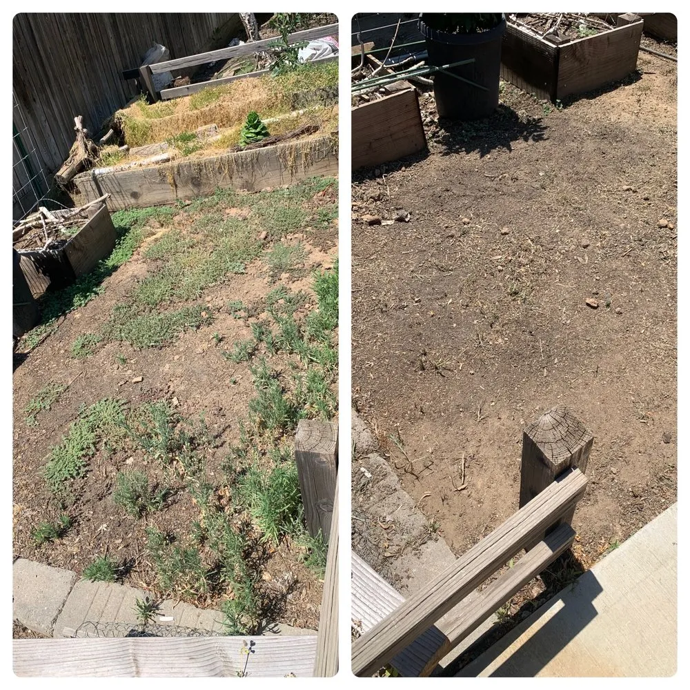 Expert outdoor landscaping experts serving Exeter, CA - Alpha Lawn And Landscape