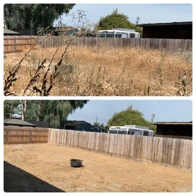 Alpha Lawn And Landscape Logo