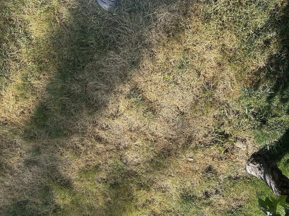 Top-rated landscape installation for outdoor upgrades in Bozeman, MT by Alpha Lawn and Landscaping