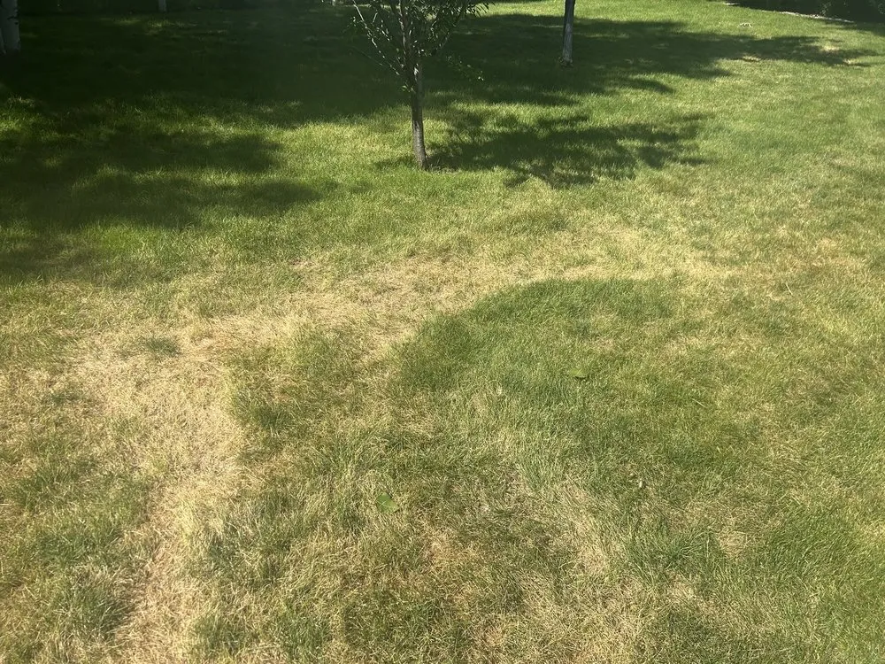 Affordable landscaping services experts serving Bozeman, MT - Alpha Lawn and Landscaping
