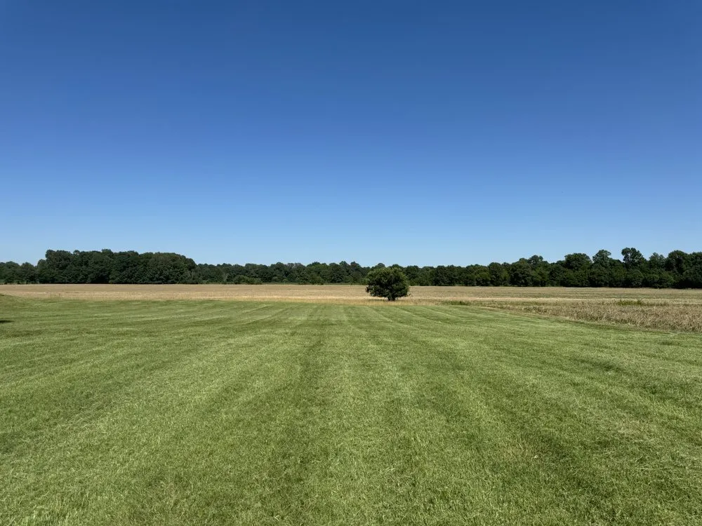 Custom yard cleanup service in Metropolis, IL by Alpha Lawn Care & Cleaning Services