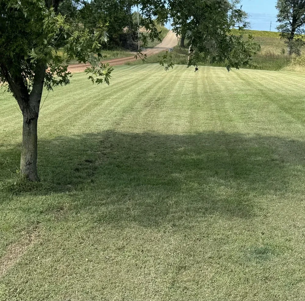 Custom landscape design for outdoor upgrades across Metropolis, IL - Alpha Lawn Care & Cleaning Services