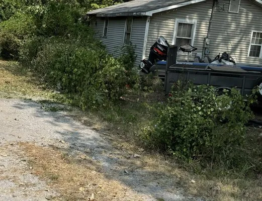 Alpha Lawn Care & Cleaning Services