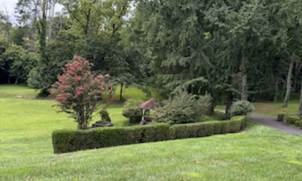 Top-rated lawn care service in Baltimore, MD by Alpha Lawn Care