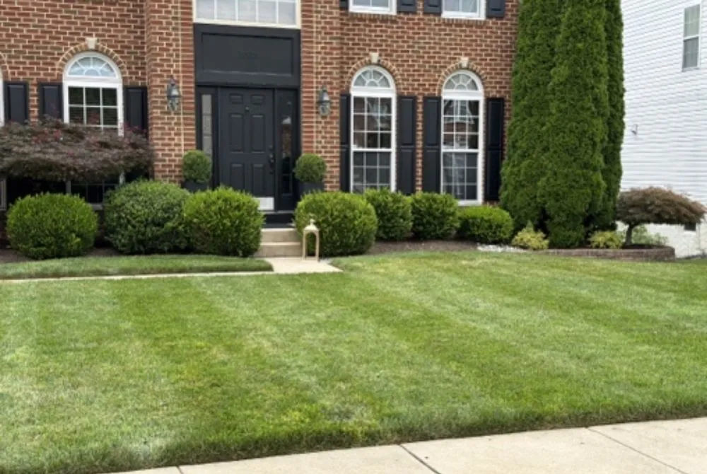 Professional lawn care service for beautiful yards across Baltimore, MD - Alpha Lawn Care