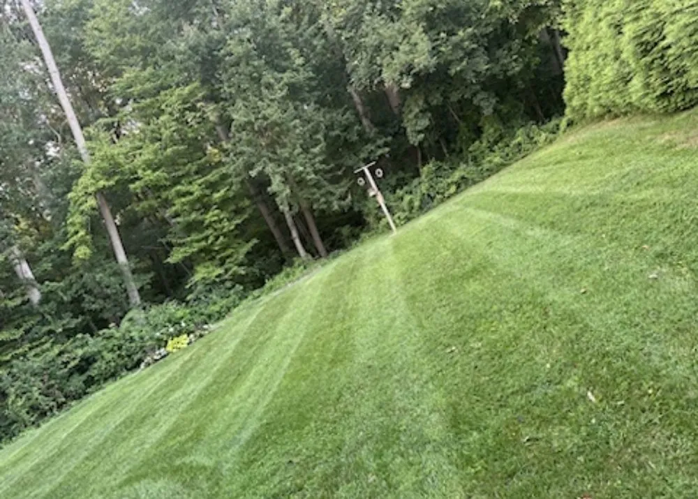 Affordable landscape installation in Baltimore, MD - Alpha Lawn Care