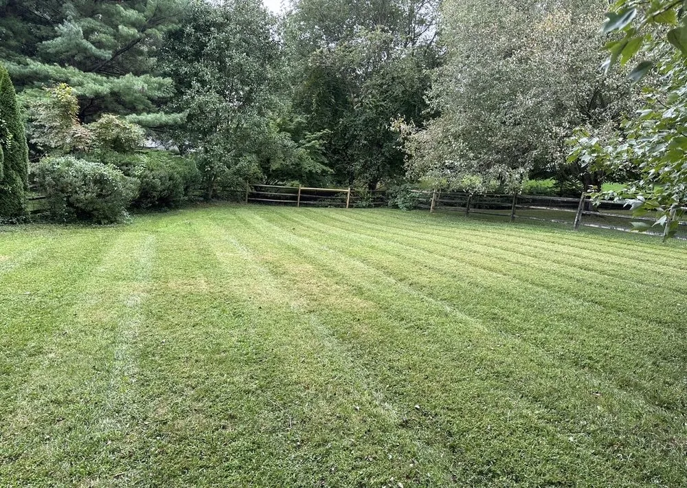 Top-rated lawn care service with custom design across Baltimore, MD - Alpha Lawn Care