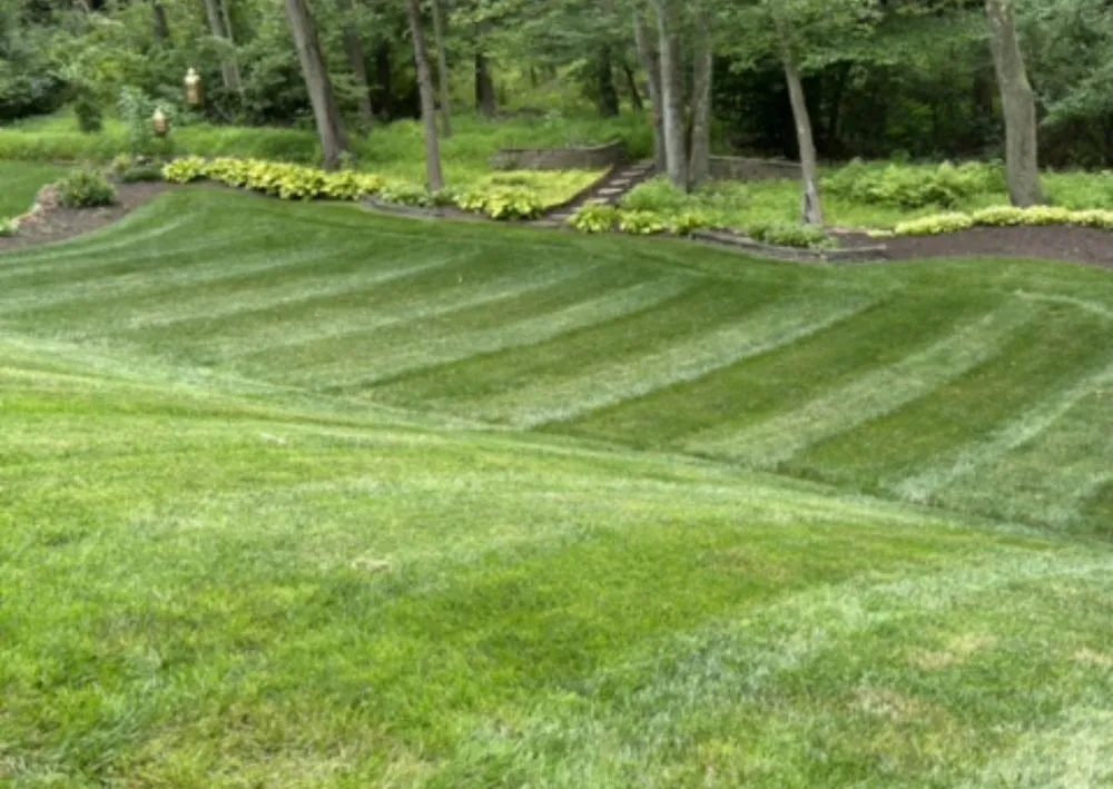 Reliable lawn care service for year-round maintenance across Baltimore, MD - Alpha Lawn Care