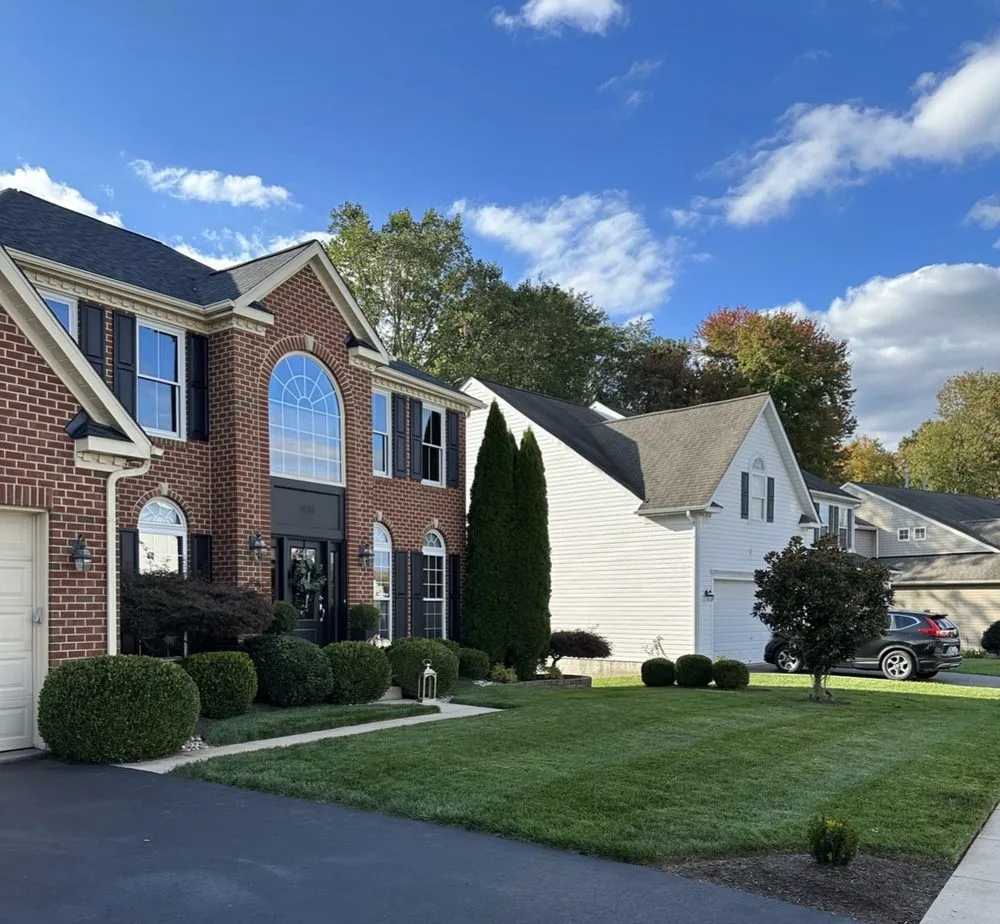 Expert yard cleanup service in Baltimore, MD by Alpha Lawn Care