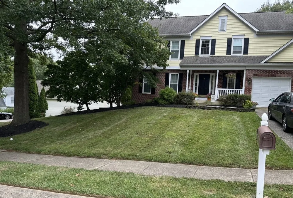 Reliable yard cleanup service experts serving Baltimore, MD - Alpha Lawn Care