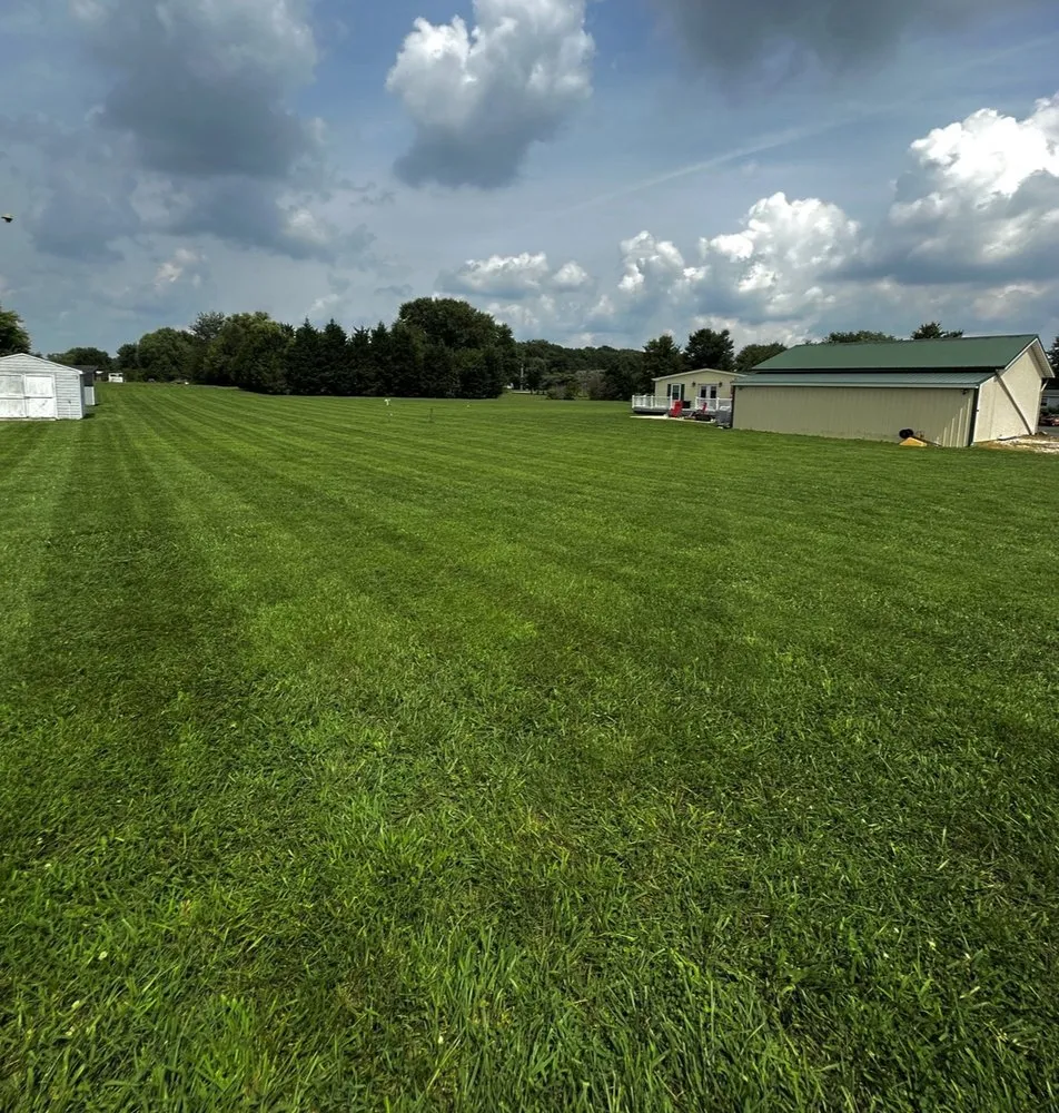 Custom lawn care service experts serving Baltimore, MD - Alpha Lawn Care