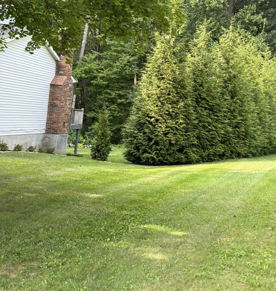 Affordable landscaping services for homes in Baltimore, MD by Alpha Lawn Care