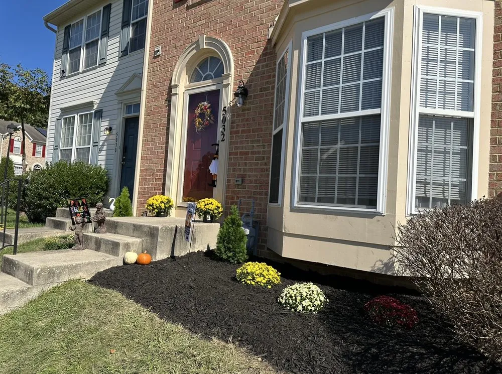 Top-rated yard cleanup service for homes in Baltimore, MD by Alpha Lawn Care
