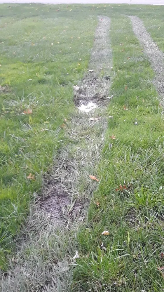 Expert yard cleanup service with custom design in Columbia Station, OH by Alpha Lawn Care