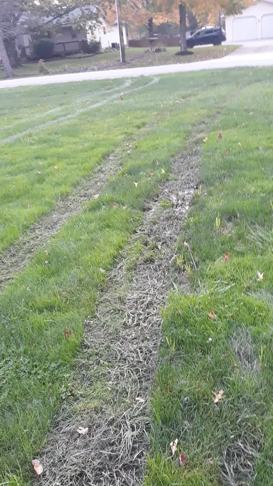 Affordable residential landscaping in Columbia Station, OH by Alpha Lawn Care