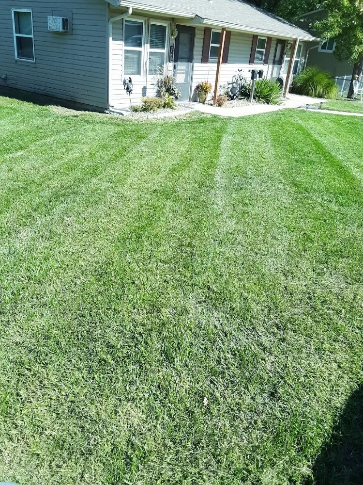 Local lawn mowing service near you across Grandview, MO - Alpha Lawn Care