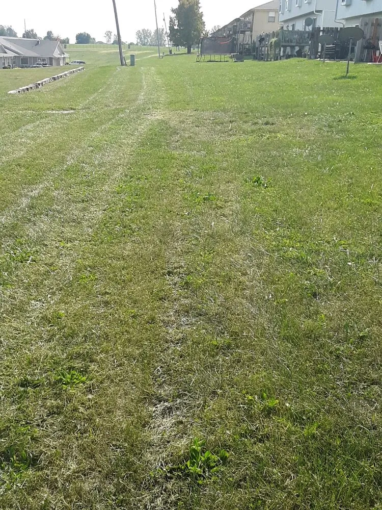 Custom garden landscaping in Grandview, MO - Alpha Lawn Care