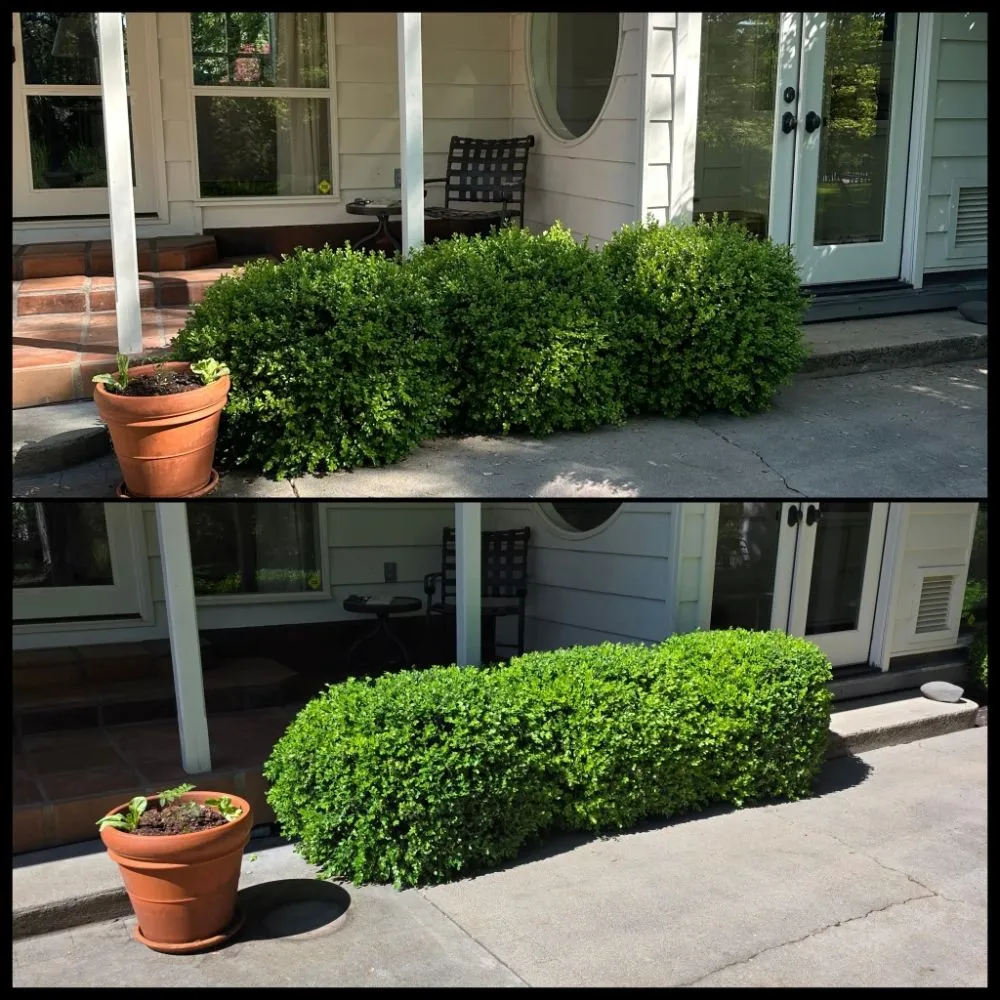 Affordable landscaping services for year-round maintenance across White City, OR - Alpha Lawn Care