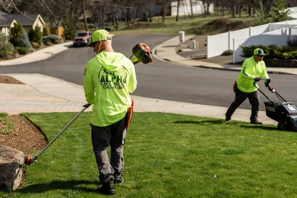 Expert lawn mowing service experts serving White City, OR - Alpha Lawn Care