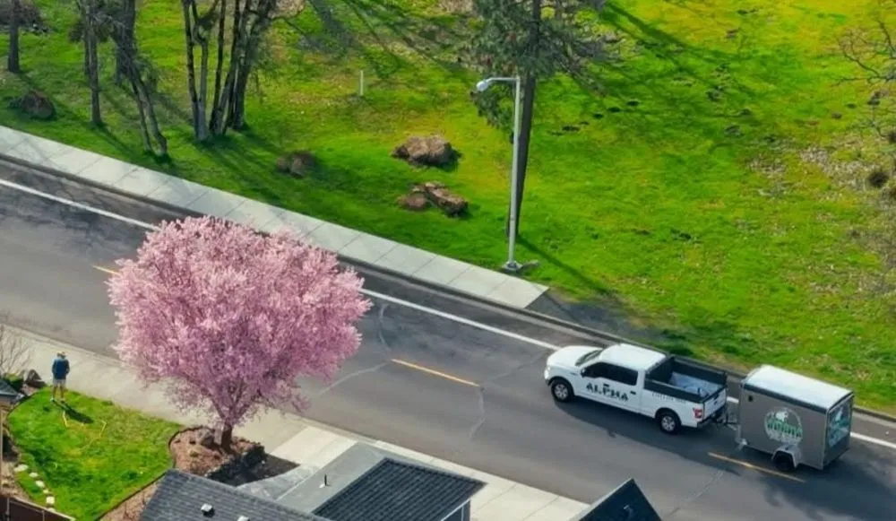 Local yard cleanup service for residential properties across White City, OR - Alpha Lawn Care
