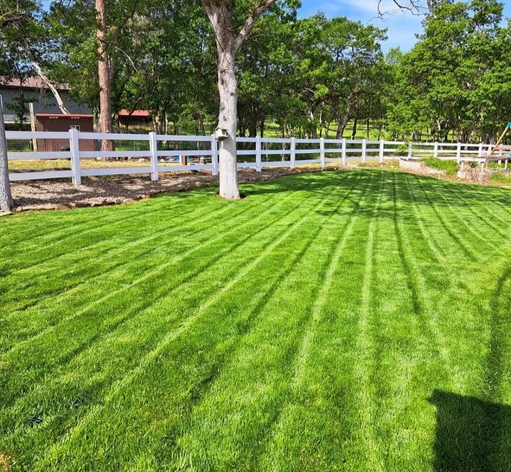 Affordable yard maintenance experts serving White City, OR - Alpha Lawn Care