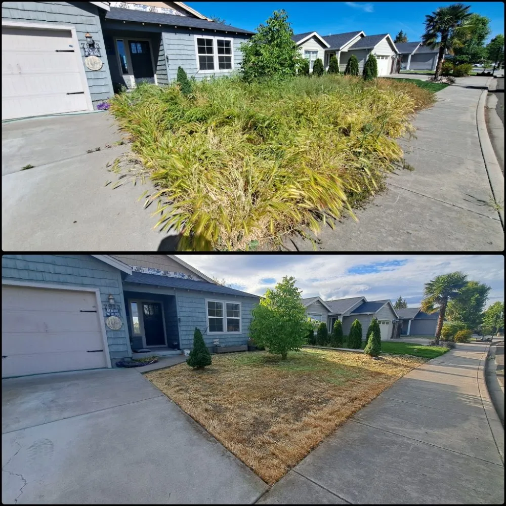 Local lawn mowing service in White City, OR by Alpha Lawn Care