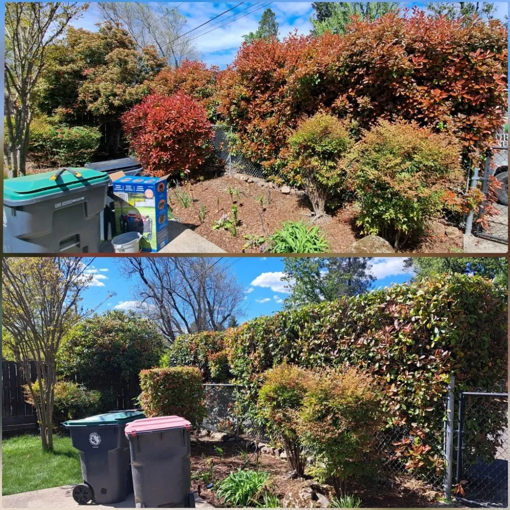 Top-rated lawn mowing service for outdoor upgrades in White City, OR by Alpha Lawn Care