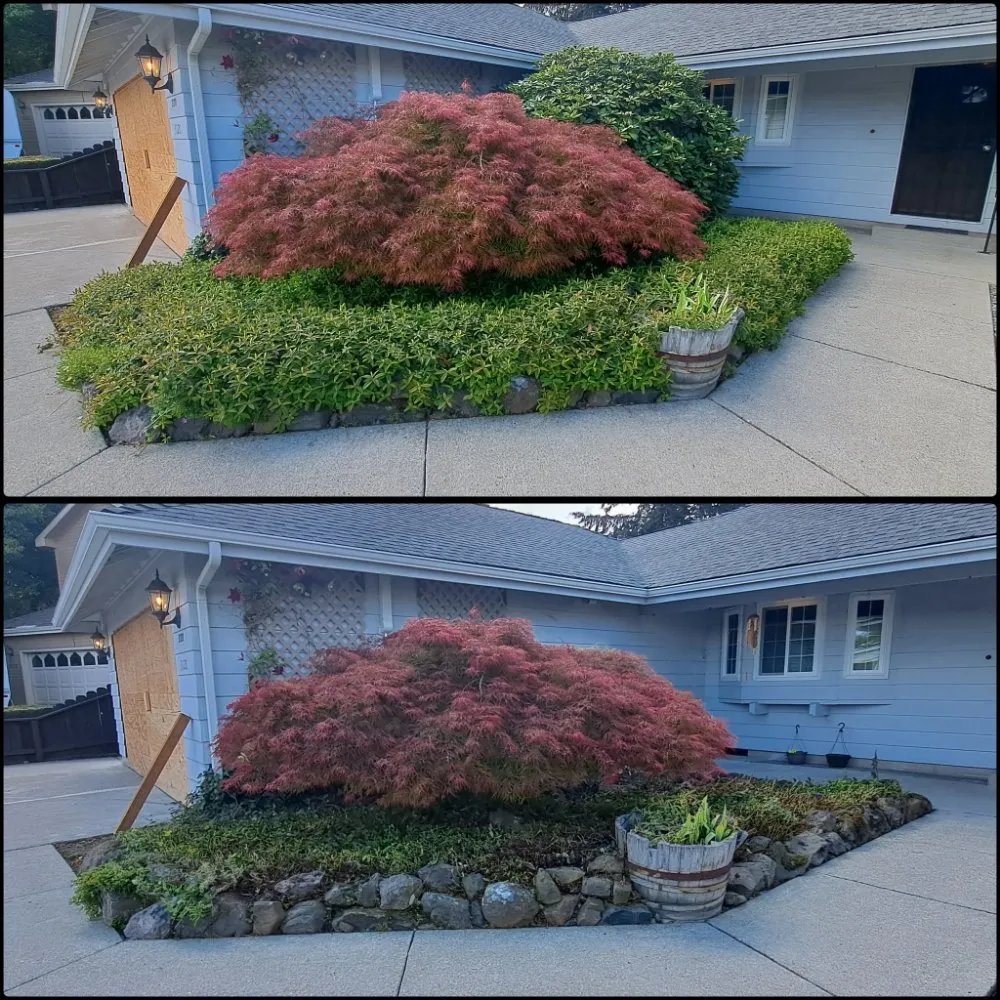 Custom residential landscaping for beautiful yards across White City, OR - Alpha Lawn Care