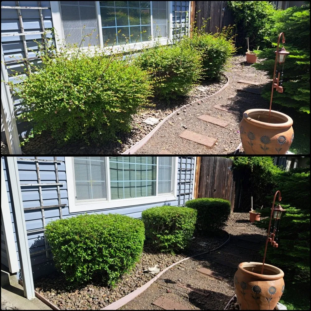 Local lawn care service in White City, OR by Alpha Lawn Care