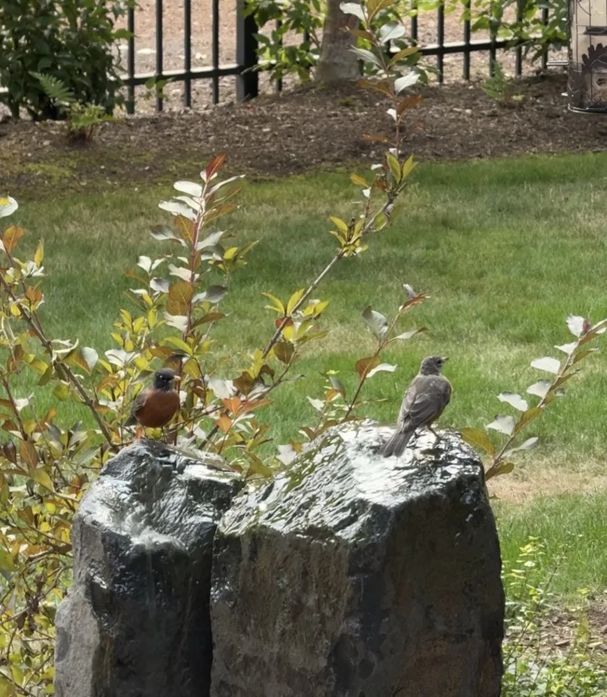 Professional lawn mowing service in Sandy, OR - Alpha Lawn Maintenance