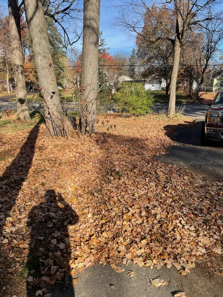 Local residential landscaping experts serving Loves Park, IL - Alpha Lawn Pros