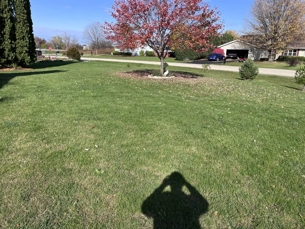 Affordable yard cleanup service for year-round maintenance across Loves Park, IL - Alpha Lawn Pros
