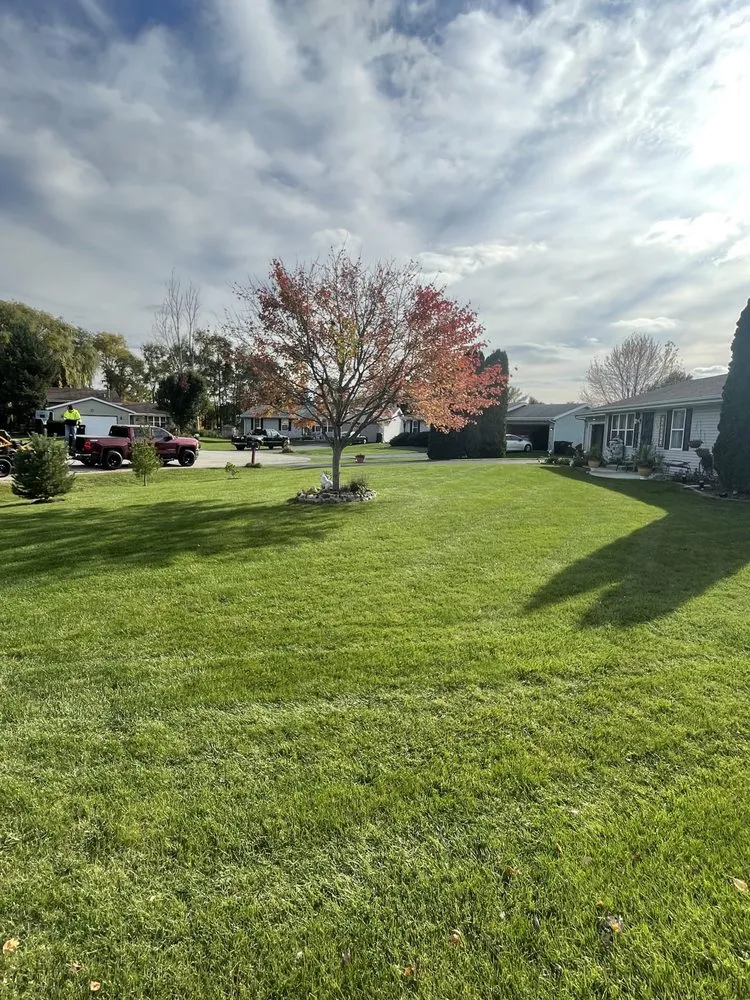 Expert lawn care service near you in Loves Park, IL by Alpha Lawn Pros