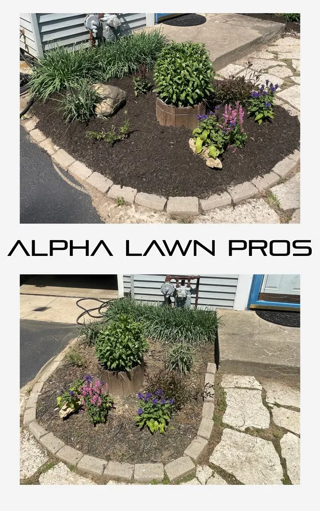 Top-rated landscape design for homes across Loves Park, IL - Alpha Lawn Pros