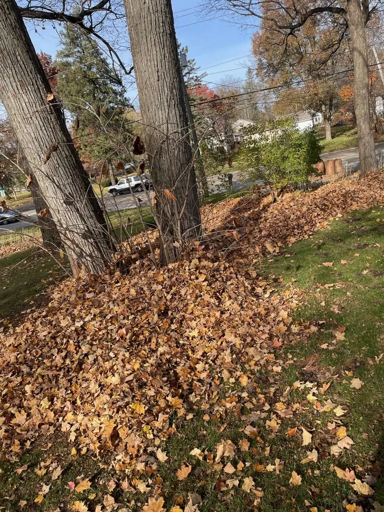 Reliable garden landscaping in Loves Park, IL by Alpha Lawn Pros