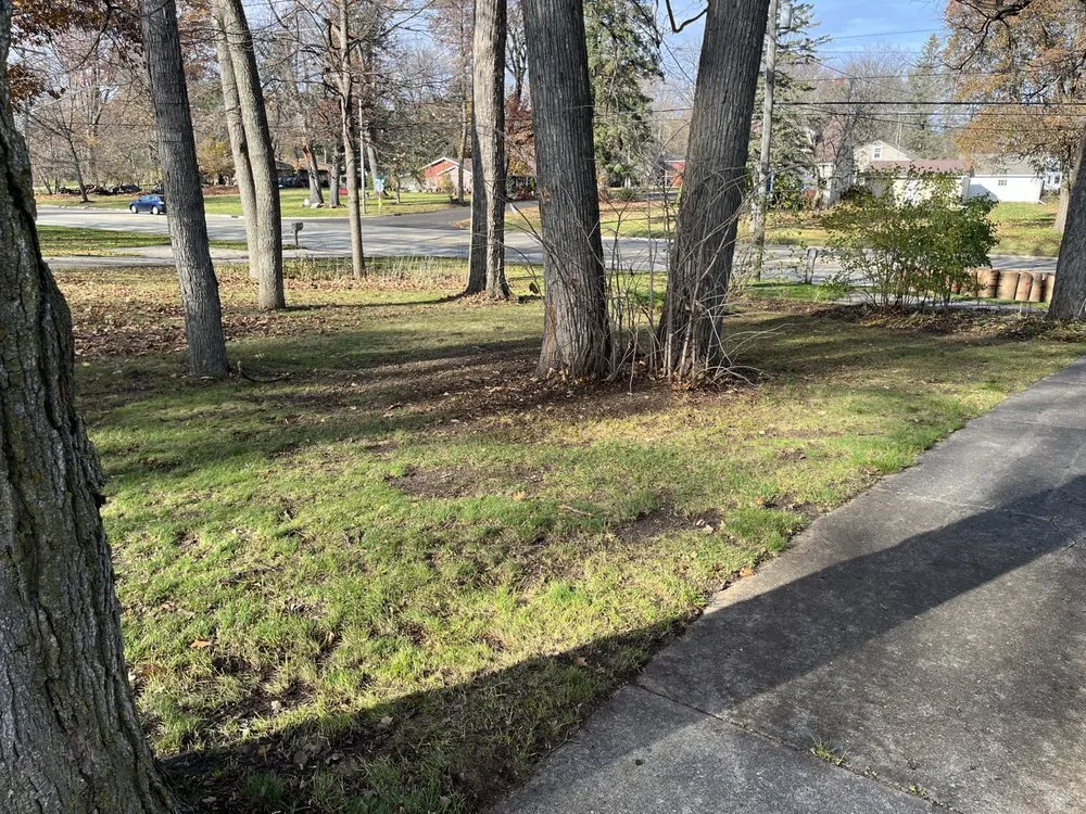 Professional outdoor landscaping near you in Loves Park, IL by Alpha Lawn Pros