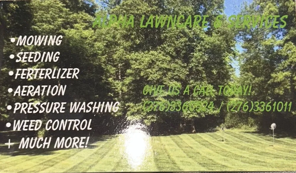 Expert yard maintenance for year-round maintenance in Ridgeway, VA by Alpha Lawncare & Services