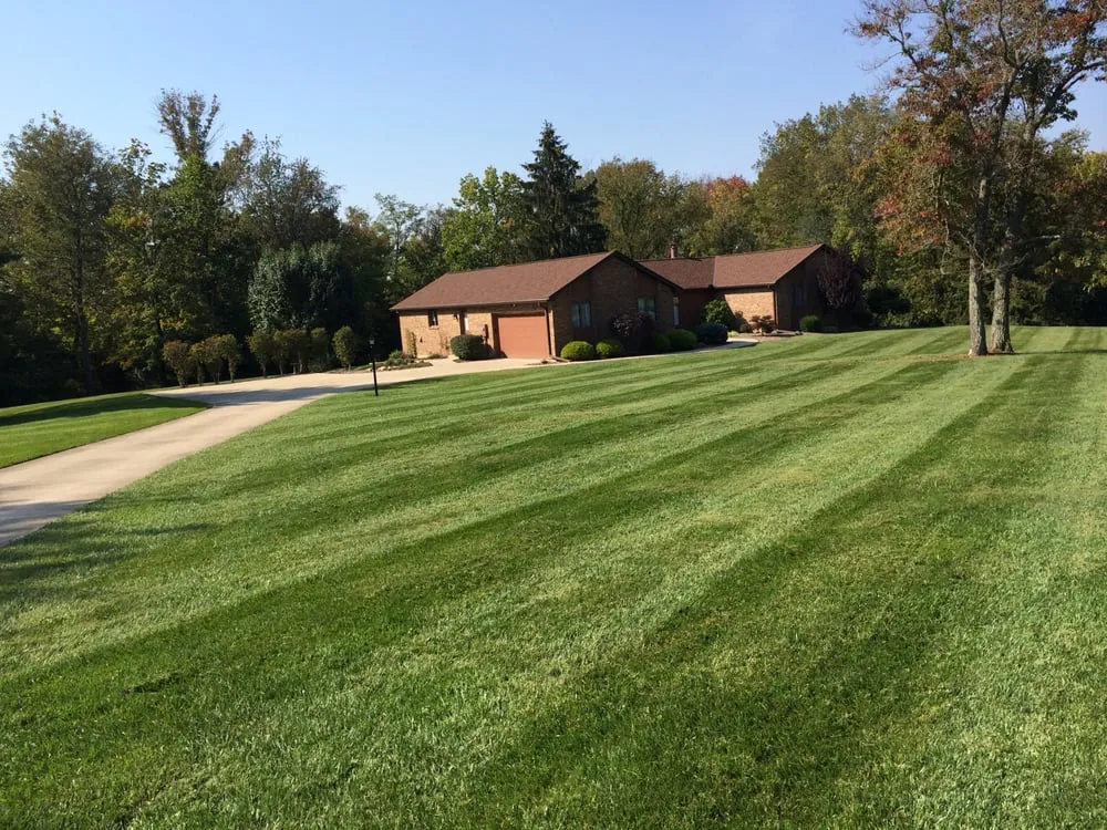 Local yard maintenance for residential properties across Florence, KY - Alpha Lawns