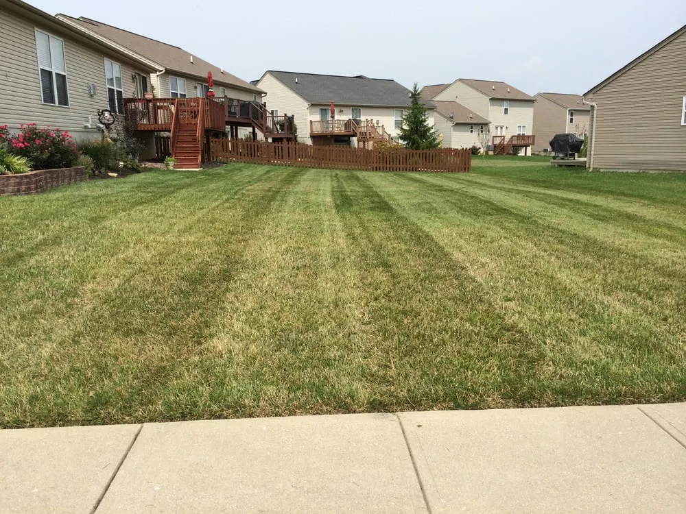 Reliable yard maintenance in Florence, KY - Alpha Lawns