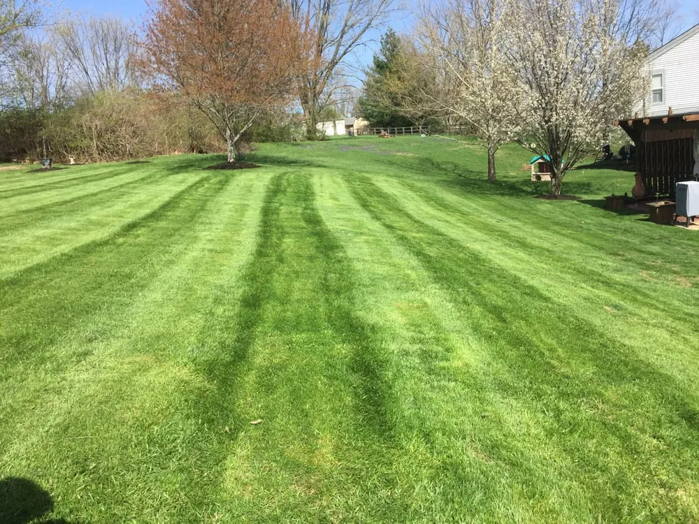 Top-rated garden landscaping in Florence, KY - Alpha Lawns